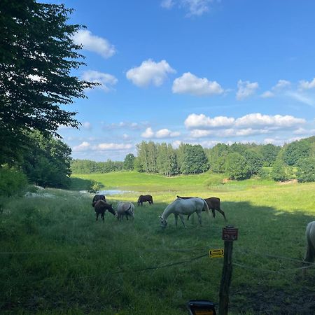 Biale Domki Bytów Eksteriør bilde