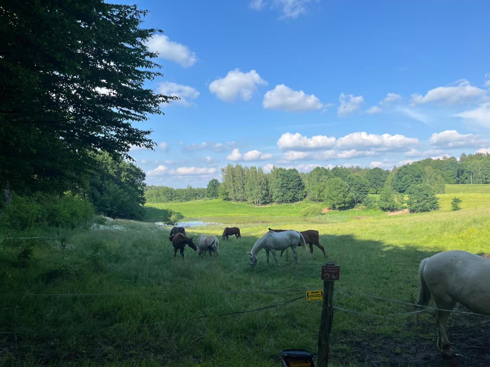 Biale Domki Bytów Eksteriør bilde